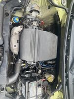 Fiat Panda Motor 1,2