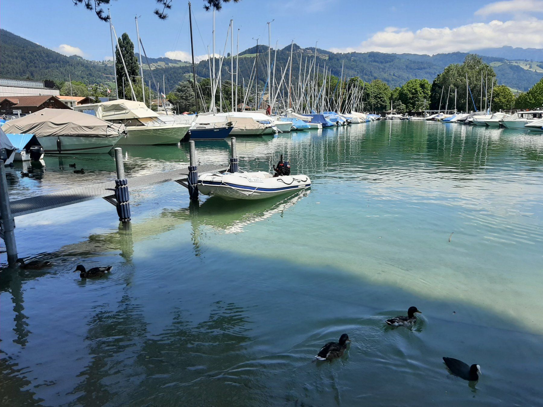 Mercury Barche: Boot Motorboot Schlauchboot Mercury Suzuki 20 PS – Usato da Uetendorf venduto da jumaijumai 5