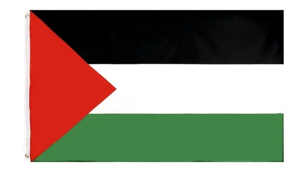 Flagge Fahne Palästina Palestine 90 x 150cm mit Ösen