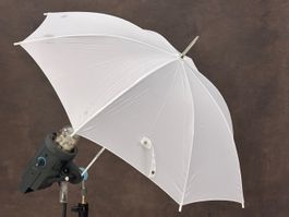 Durchlicht Schirm - 85 cm - Schirm 1