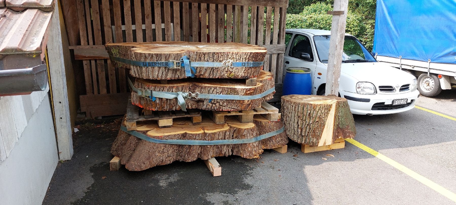 Articoli in legno: Ulmenholz /Stockscheiben – Nuovo (secondo la descrizione) da Solothurn venduto da MogTim