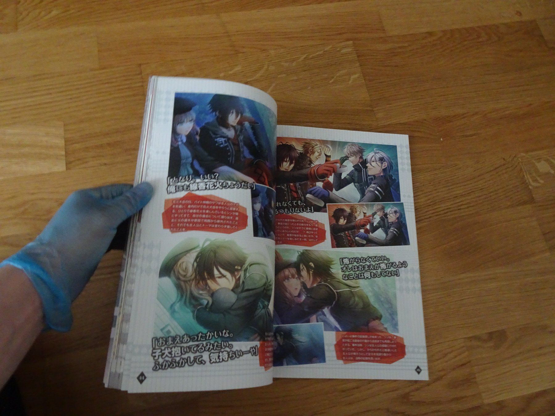 Libri: Amnesia - B'sLog Collection Artbook – Usato da Bern venduto da Maronn 5