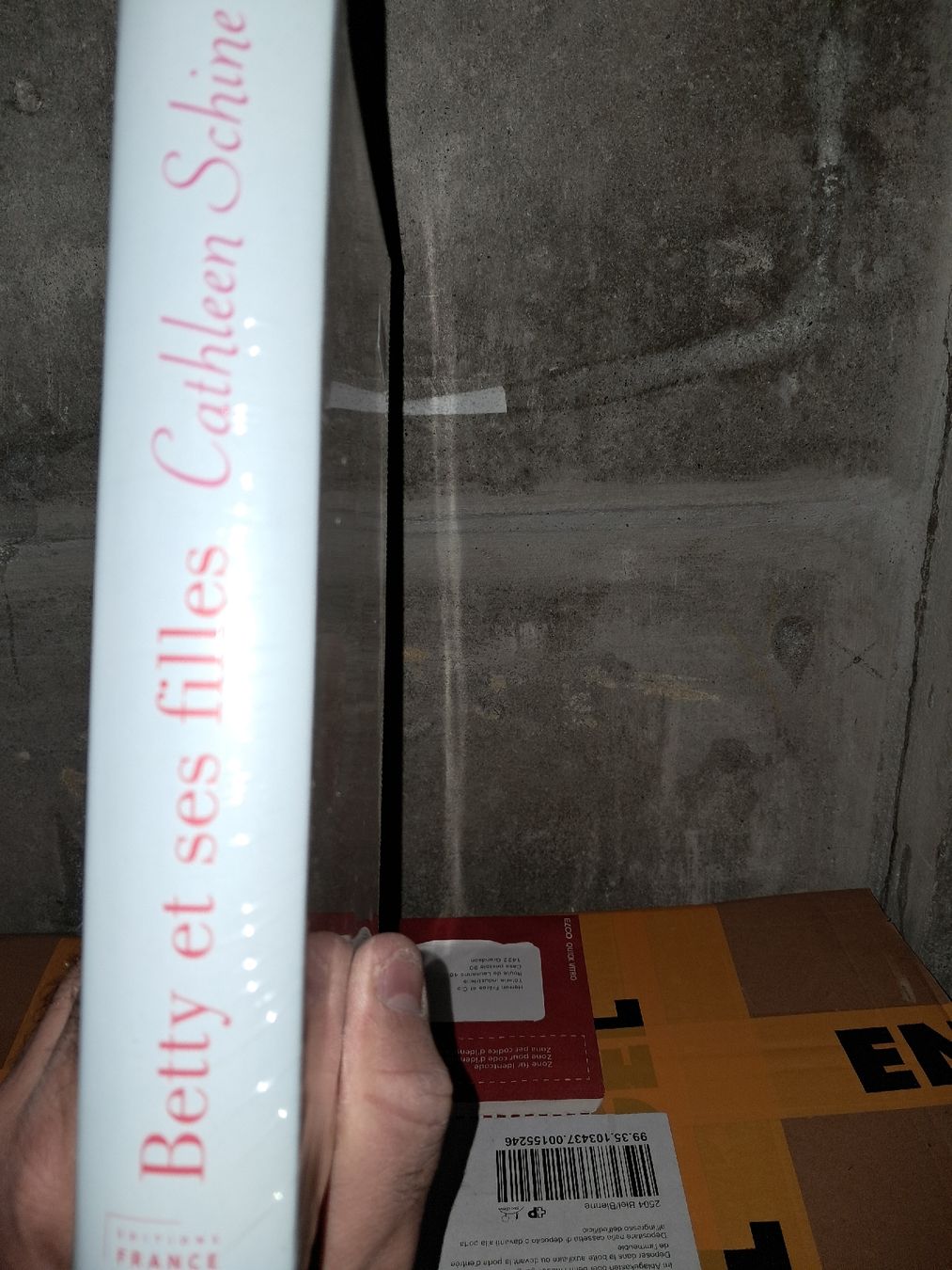 Libri: Cathleen Schine Betty et ses filles – Usato da Le locle venduto da juliensaran 2