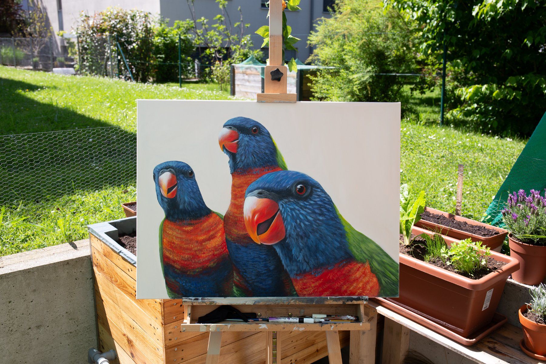 Dipinti: Original Vogel Acrylgemälde – Nuovo e nell'imballaggio originale da Therwil venduto da Jazzio_Art 1