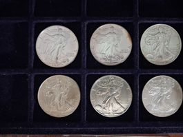 Silbermuenzen American Eagle 1 oz 6 Stück