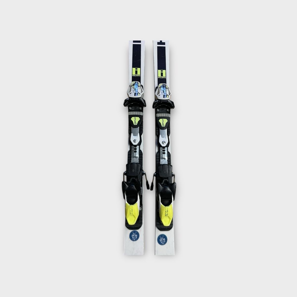 Head Sci: Head Rebels Worldcup 151cm – Usato da Murten venduto da Ski-Outlet 2