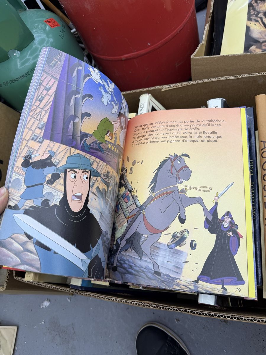 Fumetti: Le Bossu de Notre-Dame Disney 1995 – Usato da Wettingen venduto da NickInc 1