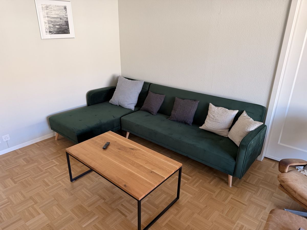 Divani: Grünes Sofa - Veloursofa - Schlafsofa - Sofa Bed – Usato da Zürich venduto da fri_fq26 1