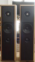 ENCEINTE COLONNE