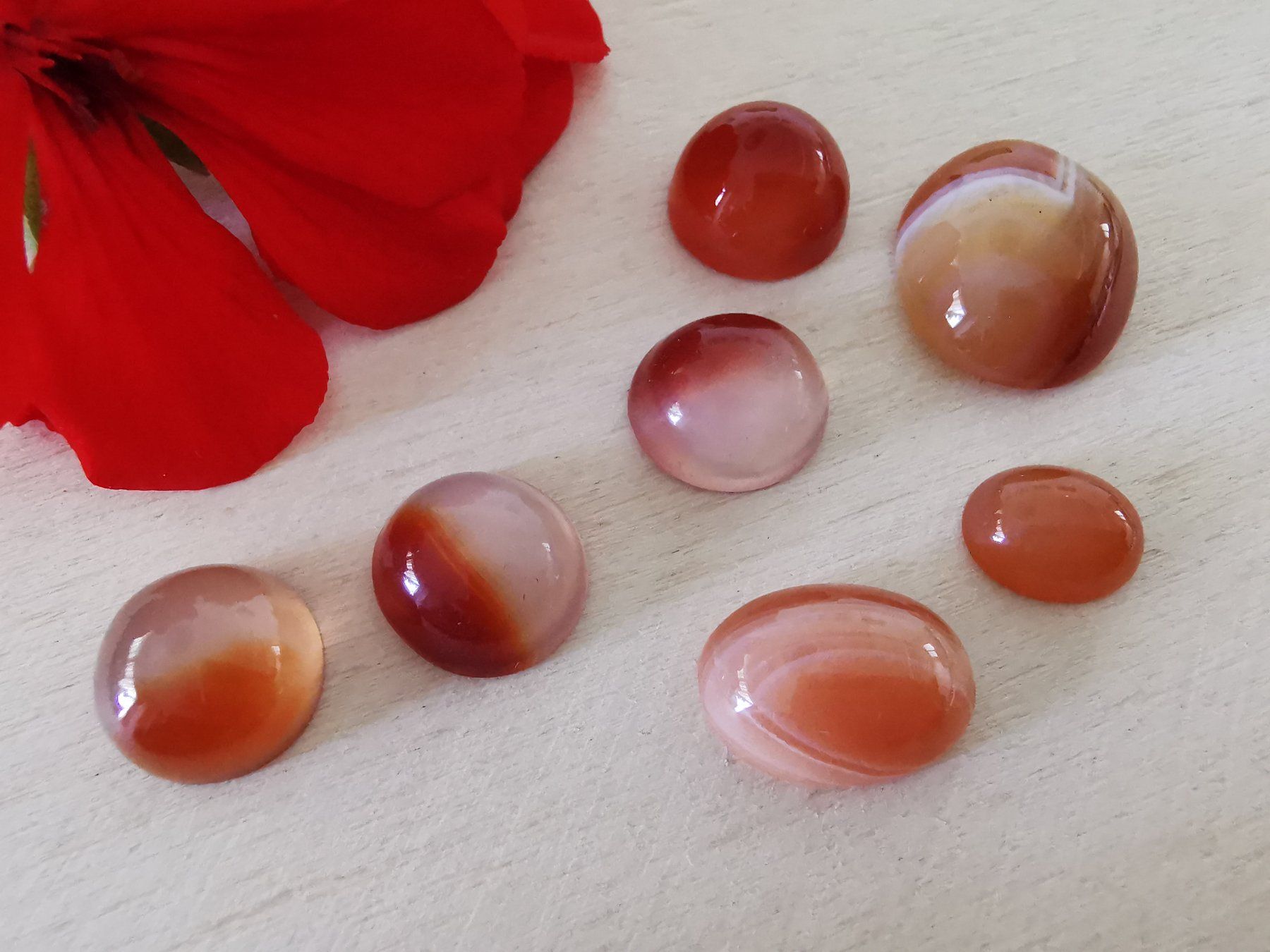 Mineralien & Heilsteine: 7 Stk. diverse Karneol Cabochon / Lager-Sondererkauf – Neu (gemäss Beschreibung) aus Dierikon von Buntspecht-10 6