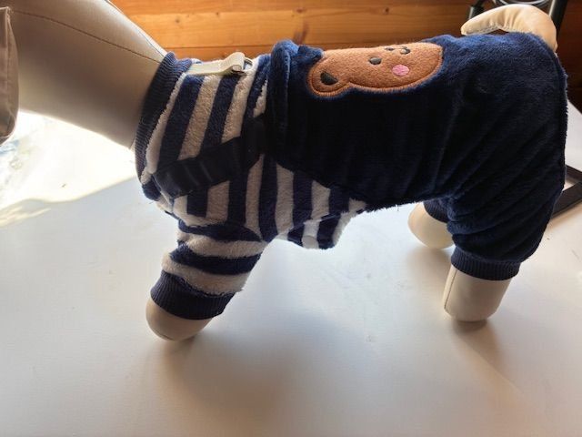 Abbigliamento: Hunde Anzug M – Nuovo e nell'imballaggio originale da Matt venduto da Westigruppe 2