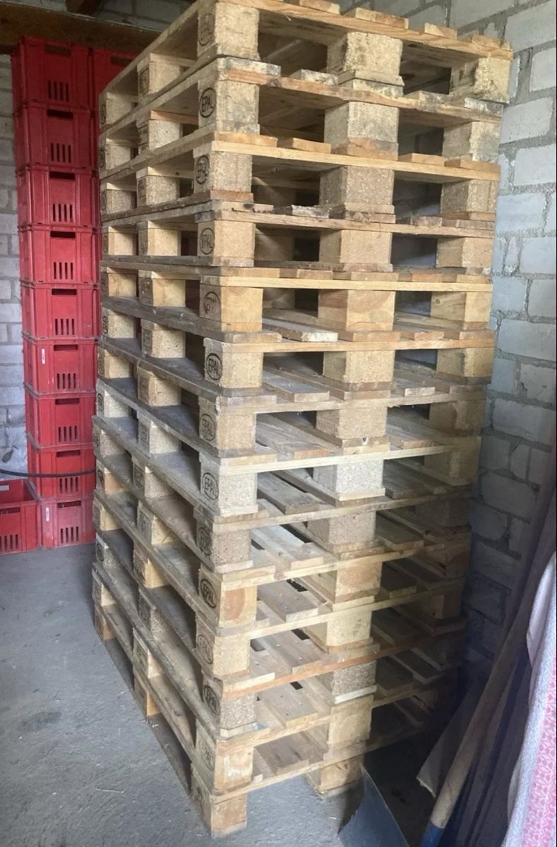 Pallets: Paletten – Usato da Egerkingen venduto da Jung-Unternehmer