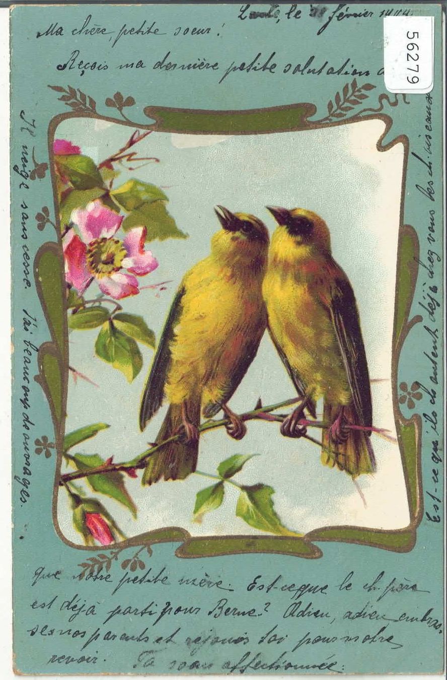 Cartoline postali: Vögel mit Rose - Litho – Usato da Ettingen venduto da Kartenplanet