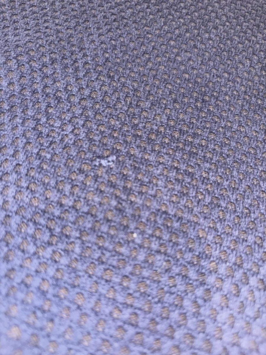 Maglioni & Felpe: Polo Knit – Usato da Bassersdorf venduto da le.vi546 2