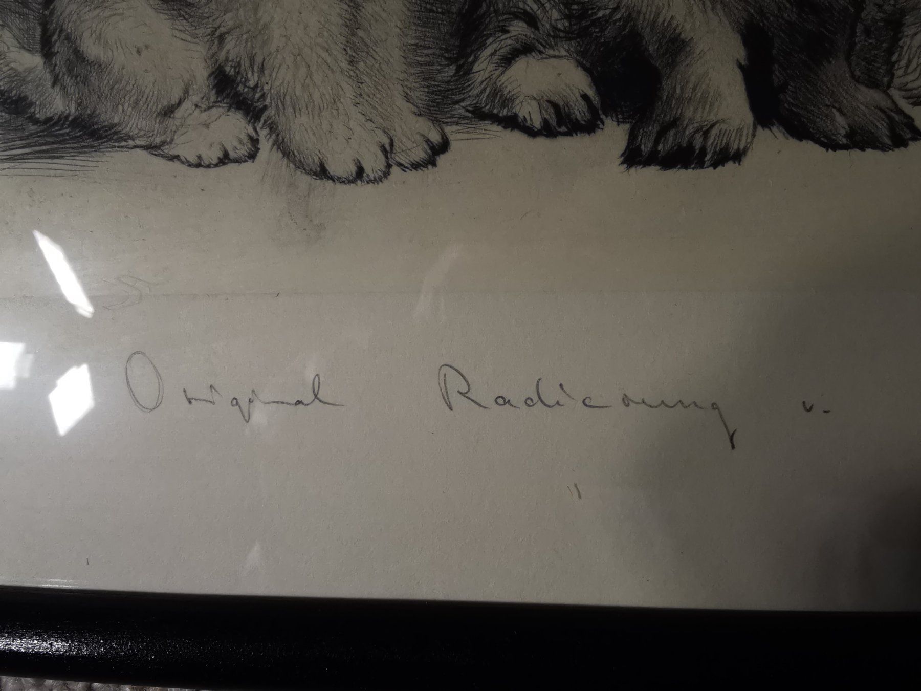 Grafica & Litografie: Hundewelpen, Original-Radierung von Kurt Meyer-Eberhardt – Usato da Dübendorf venduto da aschiduebendorf 9