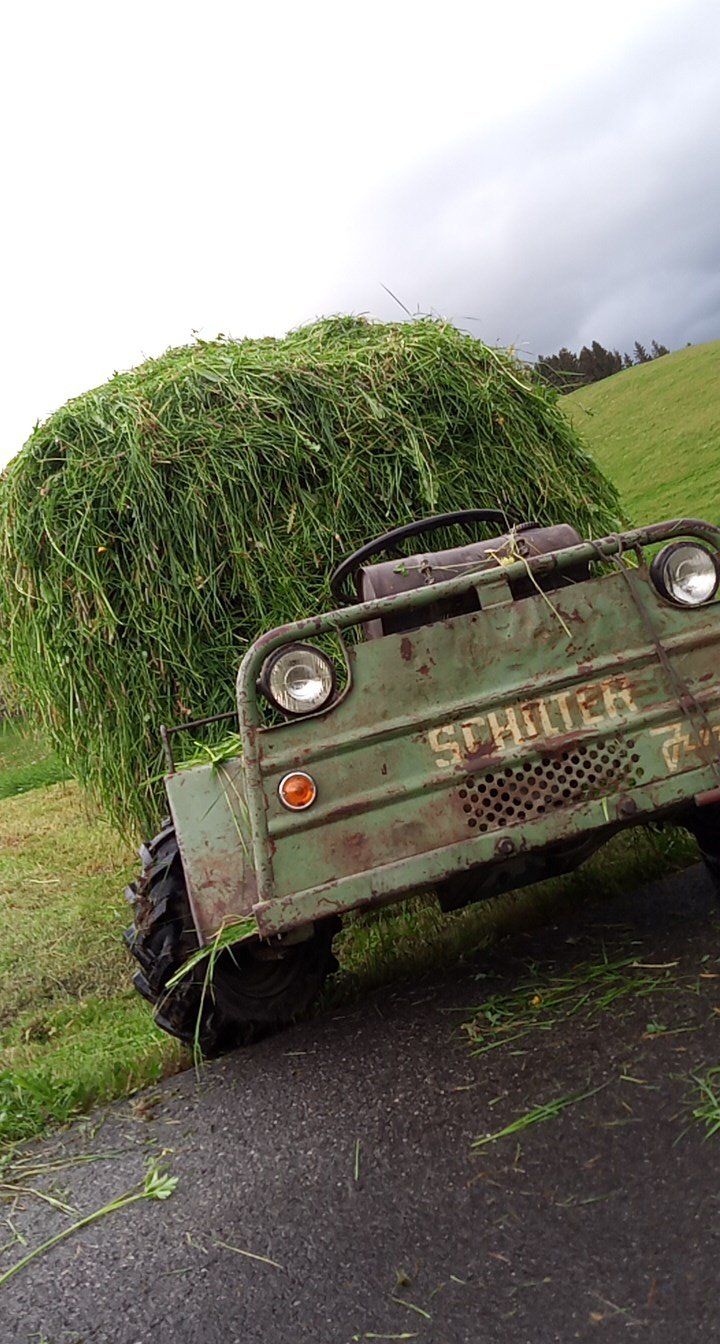 Schilter Tracteurs: Schilter Junior Transporter – D'occasion à Urnäsch par seruna 2