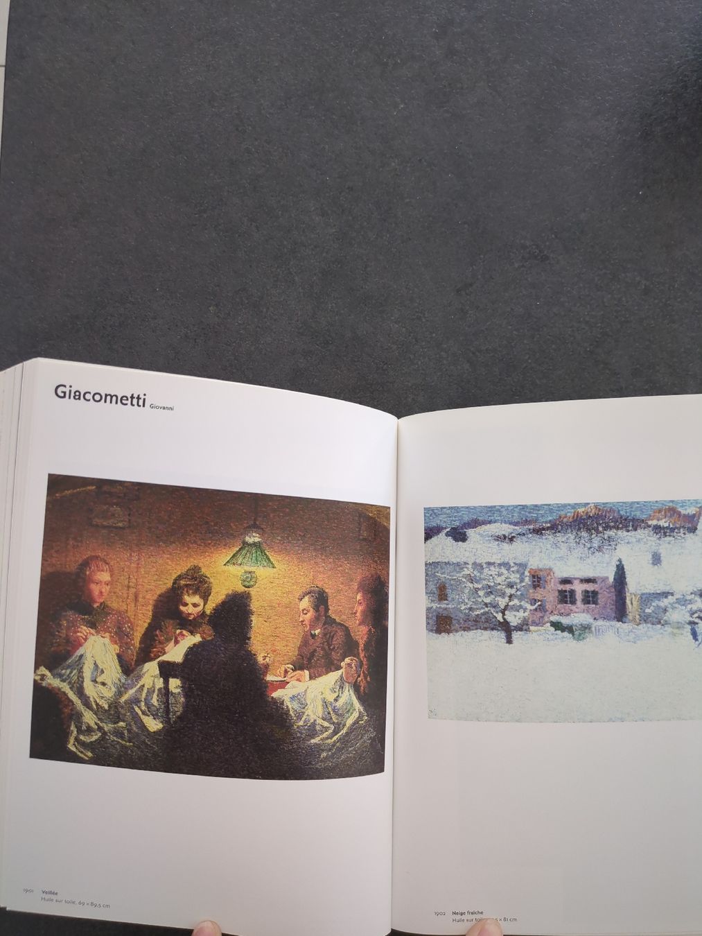 Libri: Livre Divisionnisme Couleur maitrisée? – Nuovo e nell'imballaggio originale da Sion venduto da sor_f85g 2