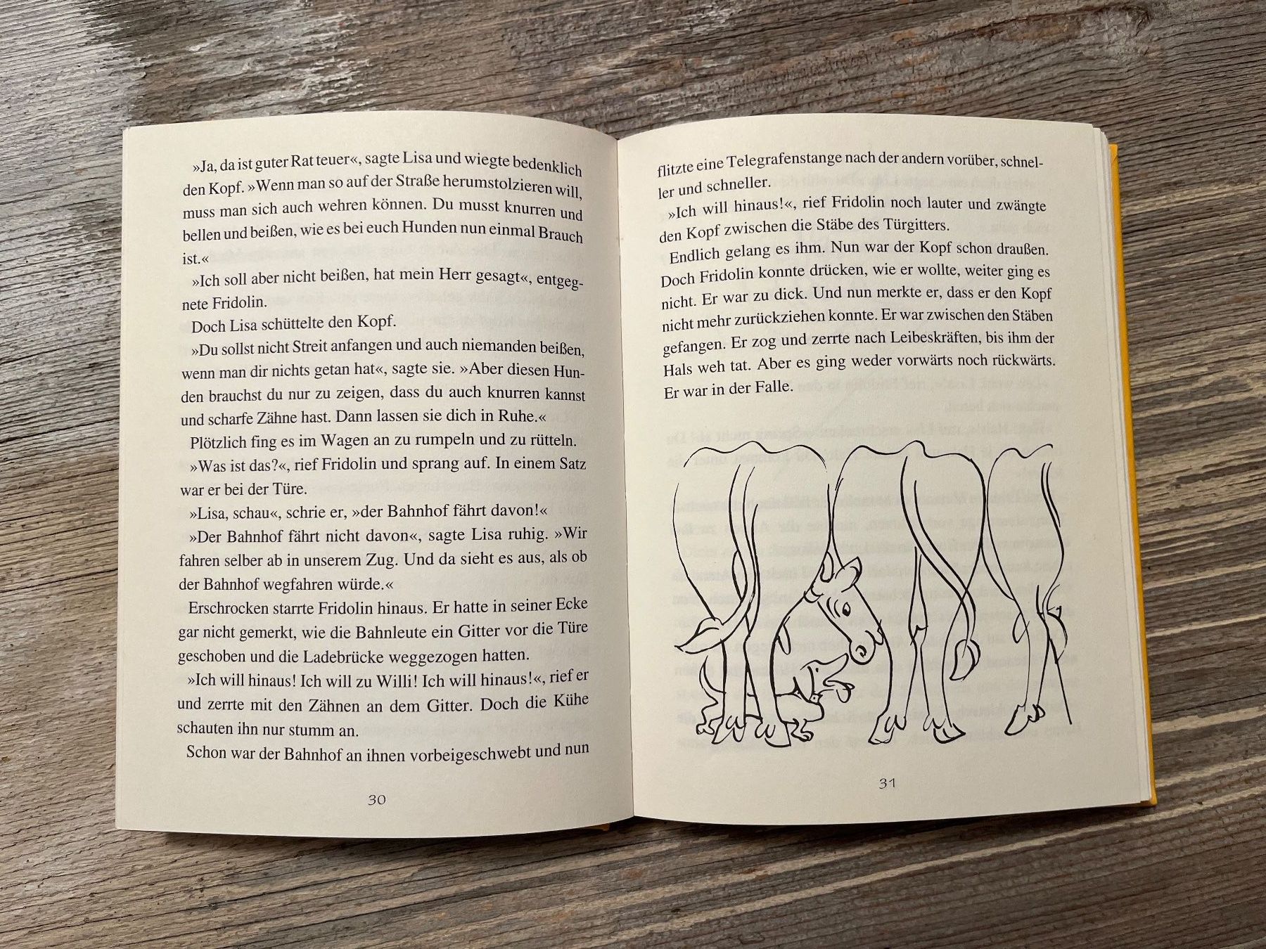 Libri: Kinderbuchklassiker:  Fridolin Eine lustige Geschichte – Usato da Pfäffikon ZH venduto da buresi 4