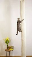 + Sisal Klettersack Kletterbaum Climber Katzen Kratzbaum