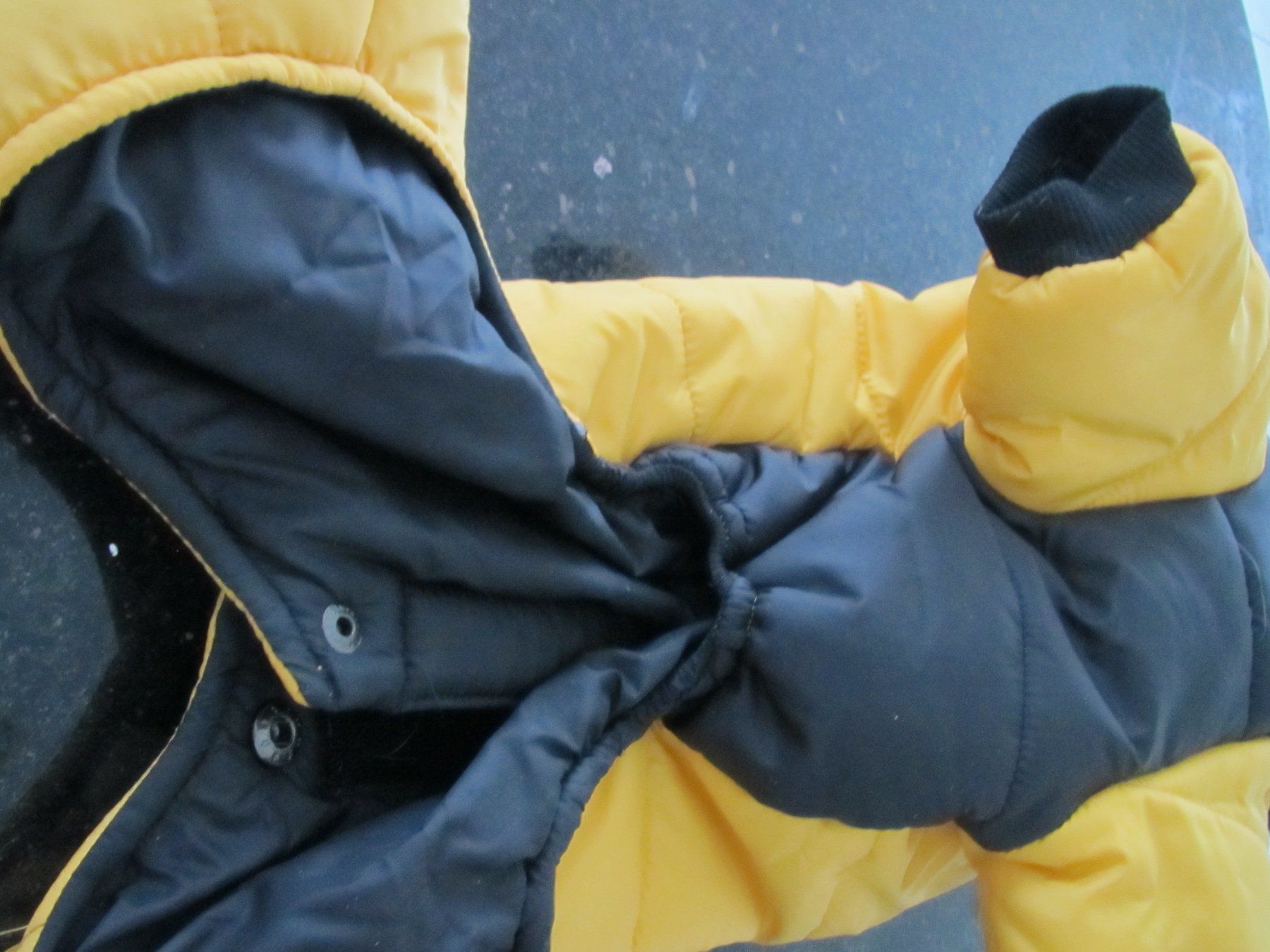 Vêtements: MANTEAU POUR CHIEN NEUF – Neuf (Voir description) à Murten par Selliot 3