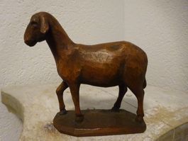Gasser Krippe / Hausschaf  -  H11,5cm