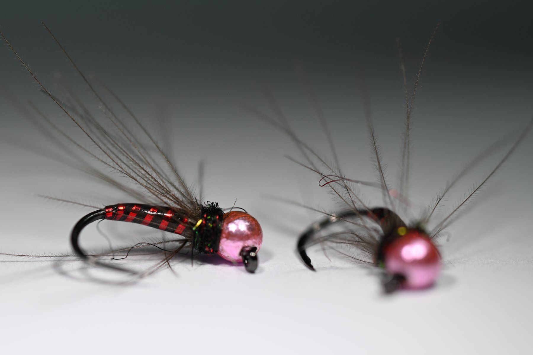 Esche: 1x MrMouse Nymphe #14 / 3,3mm – Nuovo (secondo la descrizione) da Degersheim venduto da HookedOnTheFly