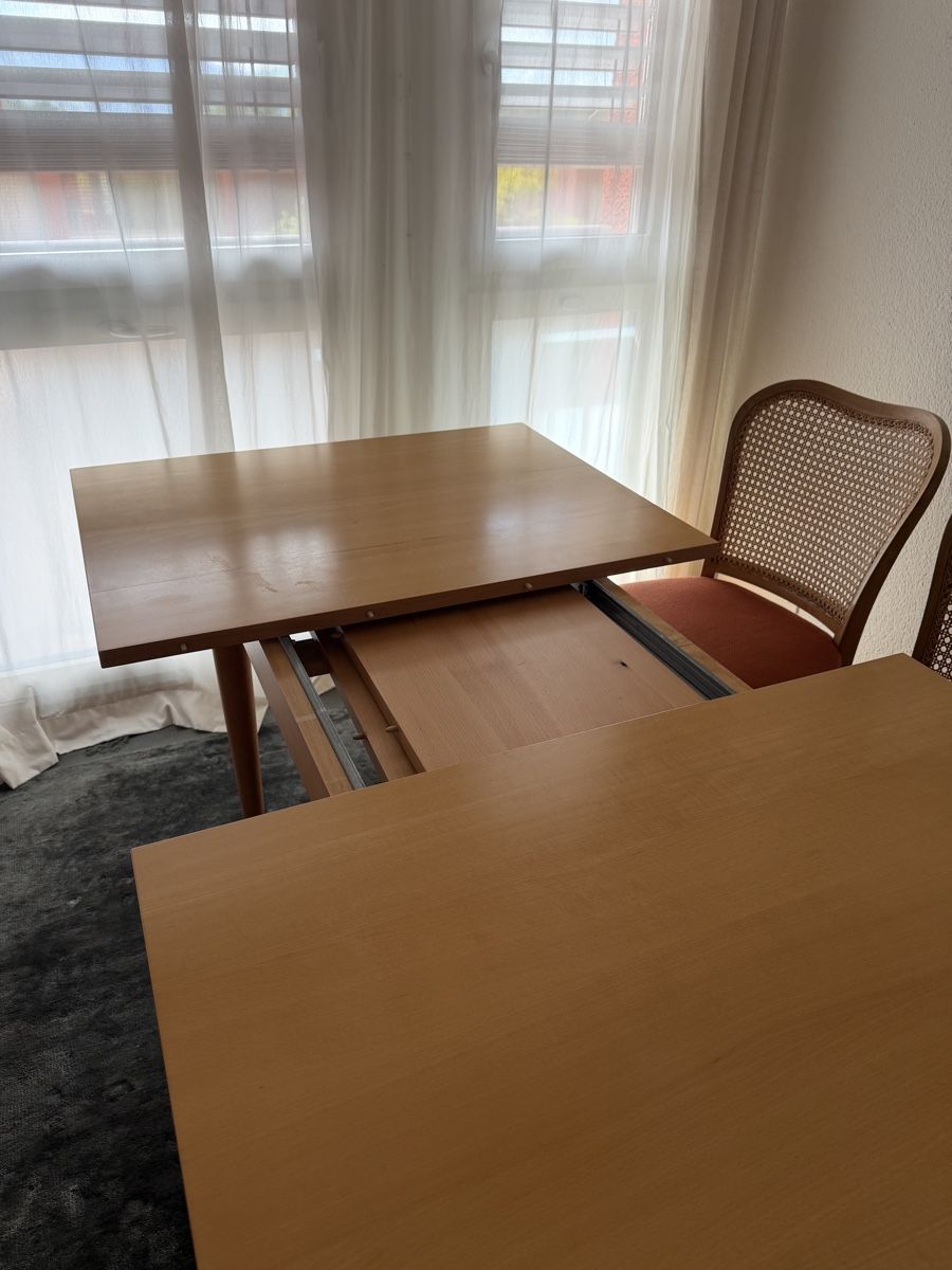 Tavoli: Esstisch – Usato da Luzern venduto da Lorena_Saveria 4