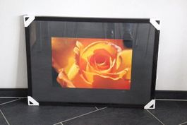 Foto in Wechselrahmen 50 x 70 cm