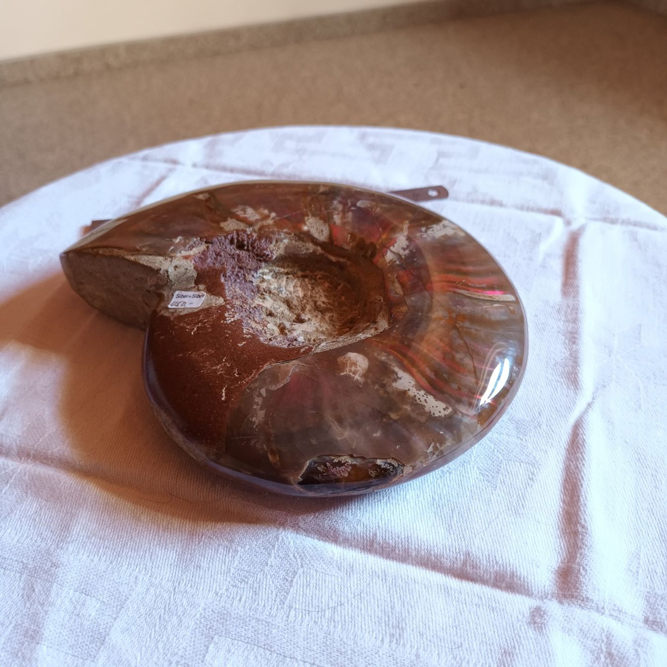 Fossili: Ammonit Fossil – Usato da Bäretswil venduto da ricoric 6