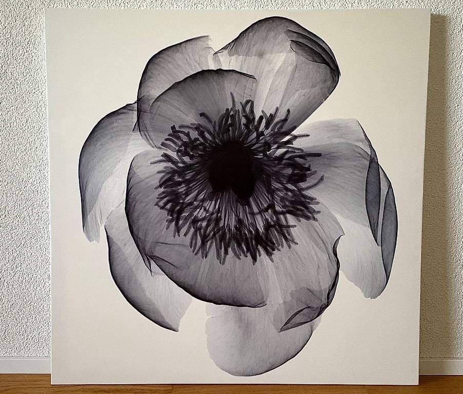Foto & Immagini: Leinwandbilder Blume, IKEA Klöxhult – Usato da Ostermundigen venduto da mari.1308 1
