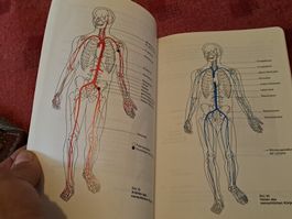 Lot von 3 Reglemente "Sanitätdienst, Teil 1 - 3 "
