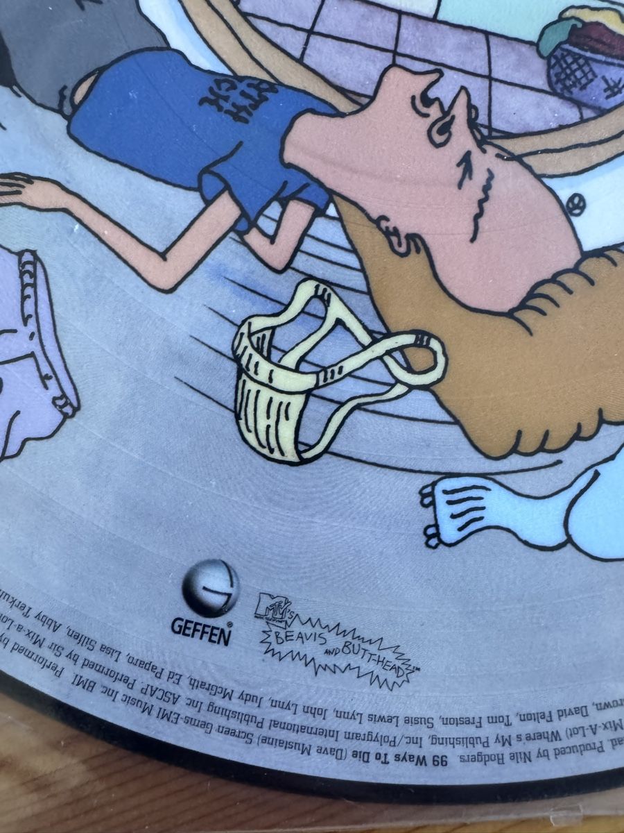 Dischi in vinile: Disque vinyle picture disc Beavis and Butt-Head Geffen – Usato da Vésenaz venduto da Angela.C3 3