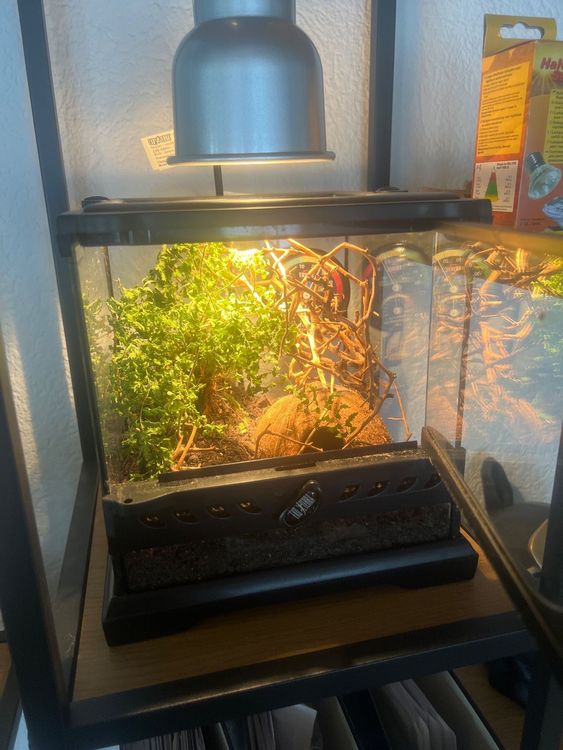 EXO TERRA Terrarium Kaufen auf Ricardo