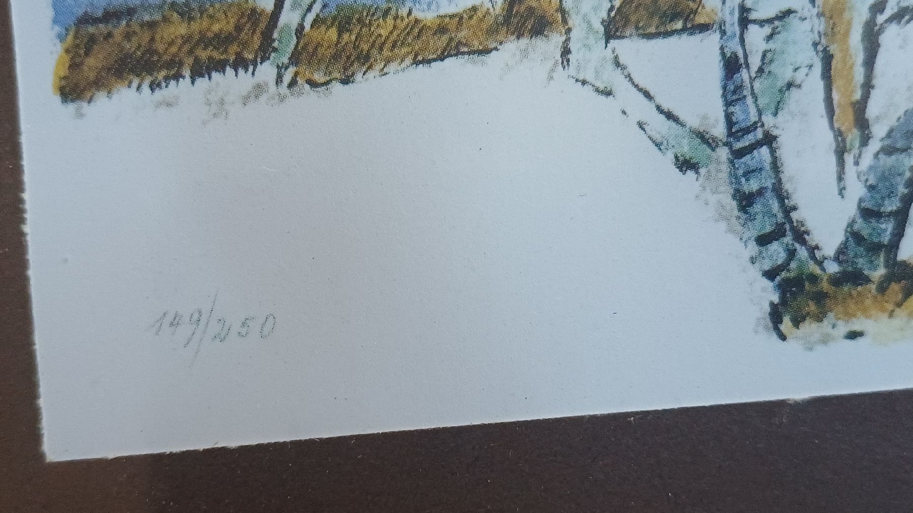Foto & Immagini: Bilanz Alois Carigiet – Usato da Flawil venduto da Naphtali 9