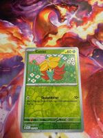 Cottini (SCR 010) / Reverse Holo / Stellarkrone