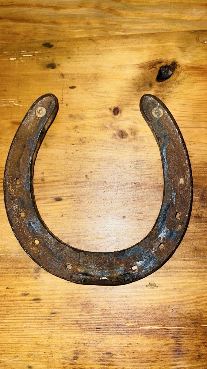 Altro in Accessori per animali: Glücksbringer Hufeisen - Rustikaler Deko-Schmuck – Usato da Schönenbuch venduto da hug_f2ny 1