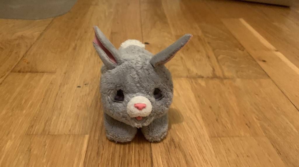 Giocattoli: FurReal Hasbro Newborns Häschen – Usato da Wettingen venduto da Taht1