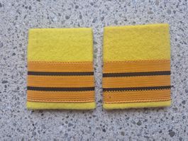 Gradabzeichen Patten Set Oberst Panzergrenadier