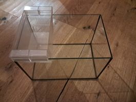 Glasaquarium mit Hang-on Filterbecken 30x20x20