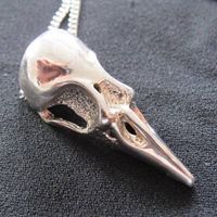 Gothic Taxidermy Halskette Skull