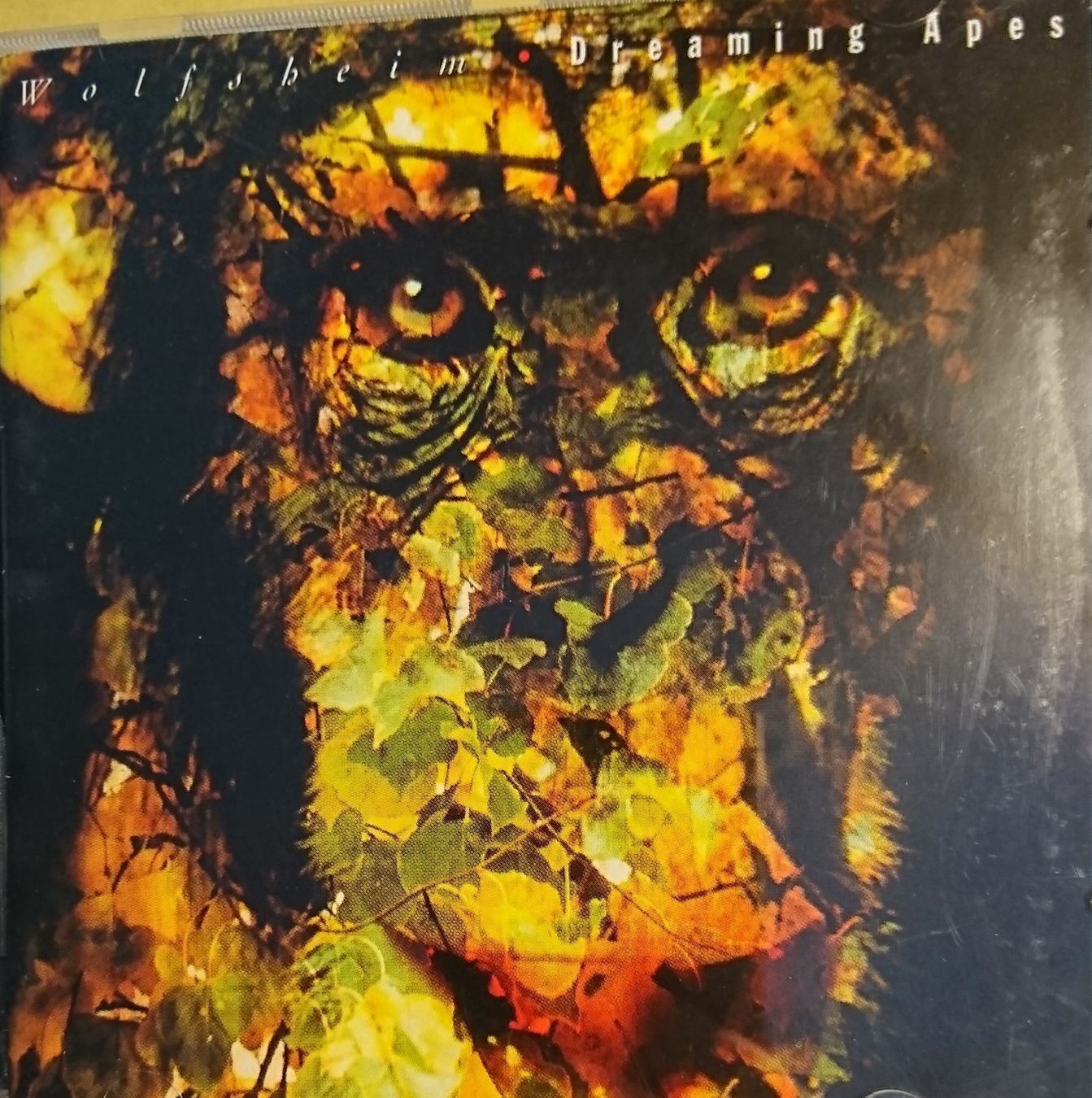 CD: WOLFSHEIM Dreaming Apes – Usato da Zürich venduto da Raz88