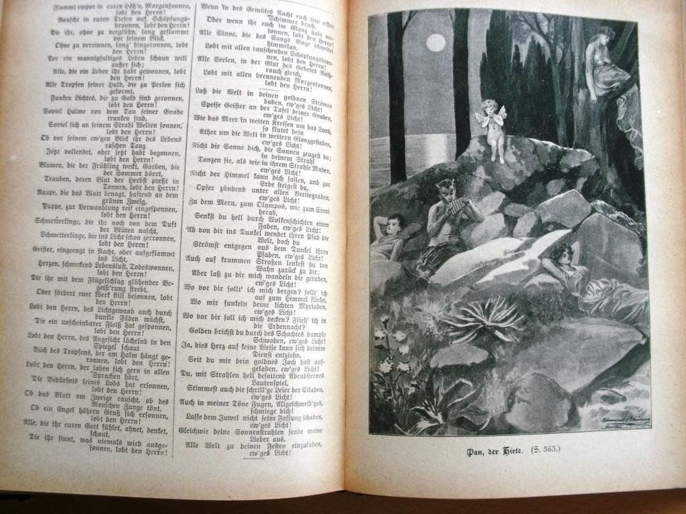 Livres: Heines + Rückerts Werke – D'occasion à Grenchen par Kogi7 9