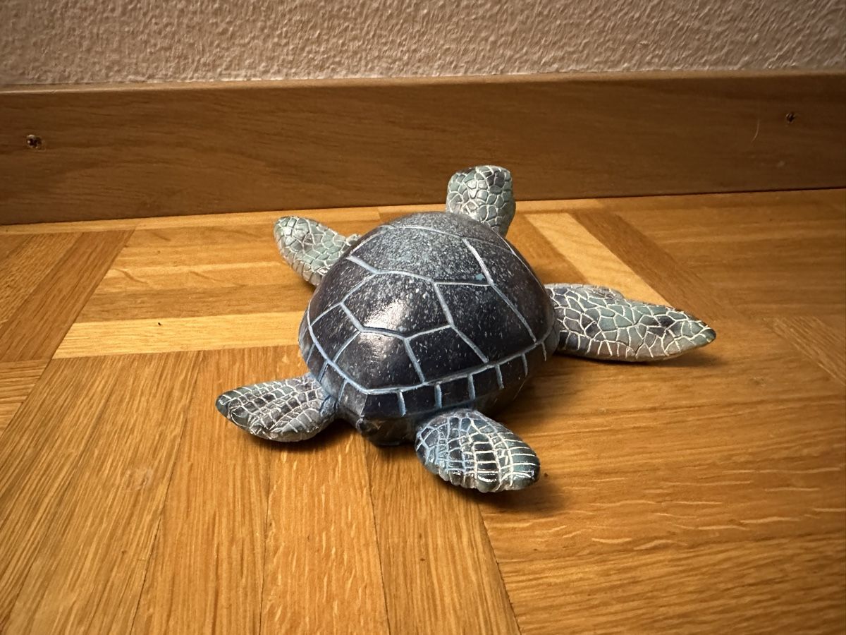 Alle Dekorationen: Dekoration Schildkröte – Gebraucht aus Winterthur von ani_6p9f 3