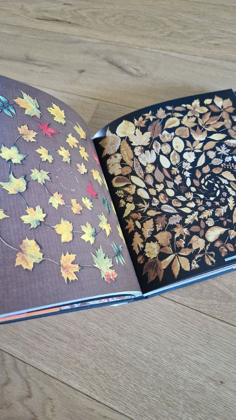 Bücher: Livre foulards Hermès – Neu (gemäss Beschreibung) aus Collombey von Preloveditems 7