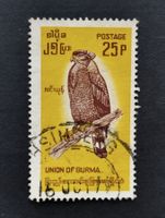 Myanmar - Vogel