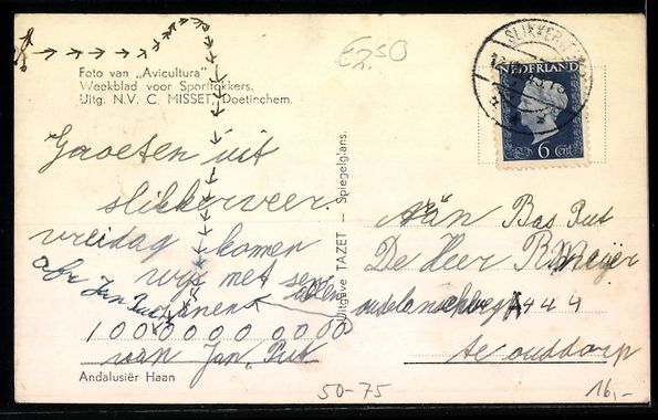 Cartoline postali: AK Portrait eines Andalusischen Hahns – Usato da Berlin venduto da bartko-reher 1