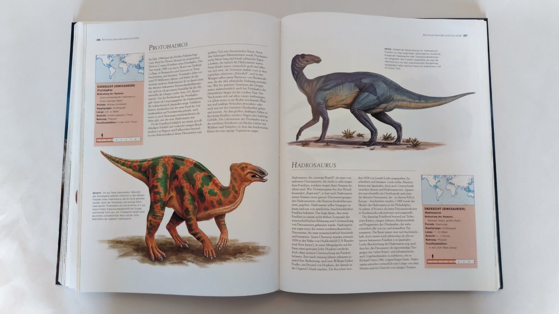 Libri: Dinosaurier / Buch 2004 mit 448 Seiten ab Fr. 14.- – Usato da Bellach venduto da JingleJerry 7