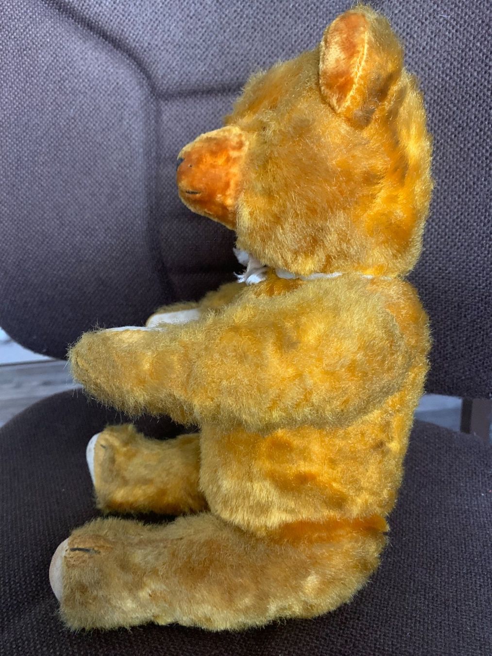 Welt der Tiere: Antiker Teddybär – Gebraucht aus Gundetswil von Egro01 2