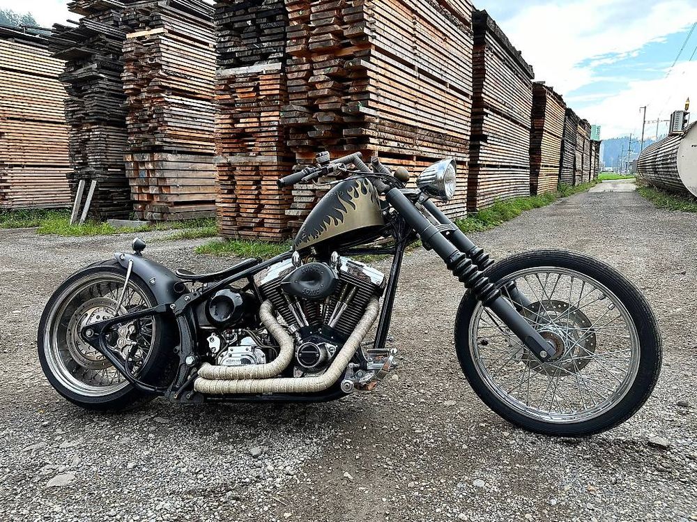 Zu verkaufen Harley mit Style (Gebraucht) in Willisau für CHF 19900 ...