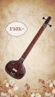 Top Tampura, handgemacht, neuwertig, indisches Instrument